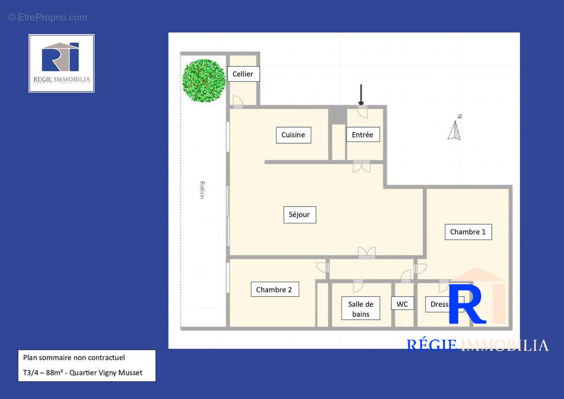 Plan sommaire de l&#039;appartement et de sa terrasse - Appartement à GRENOBLE