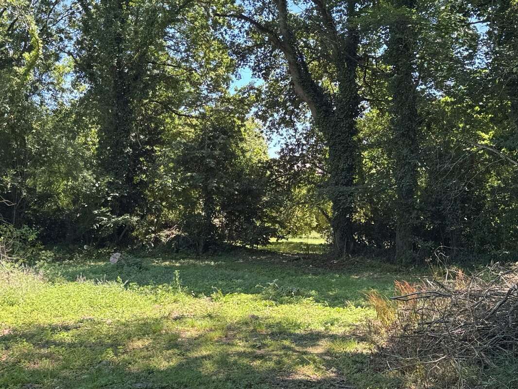 Terrain à MOELAN-SUR-MER