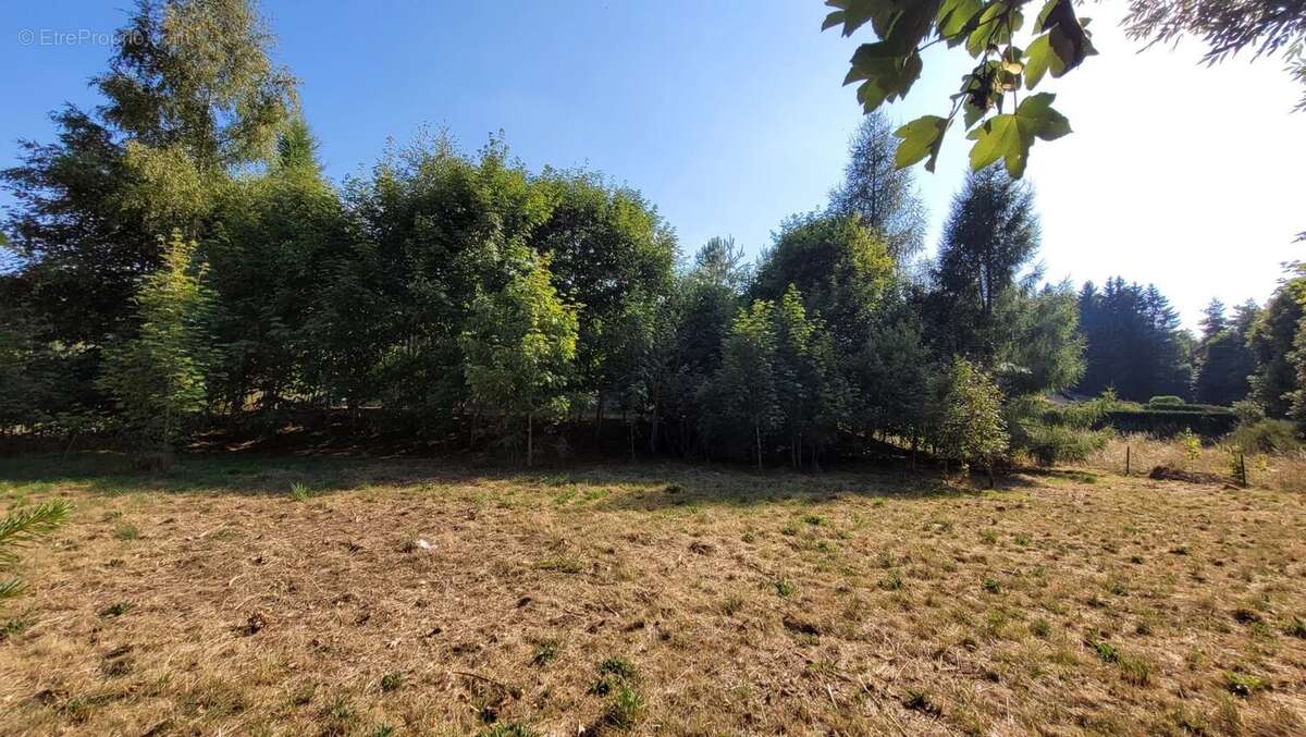 Maison ossature bois de 2007, proche village du Chambon sur Lignon, plain pied - photo 4