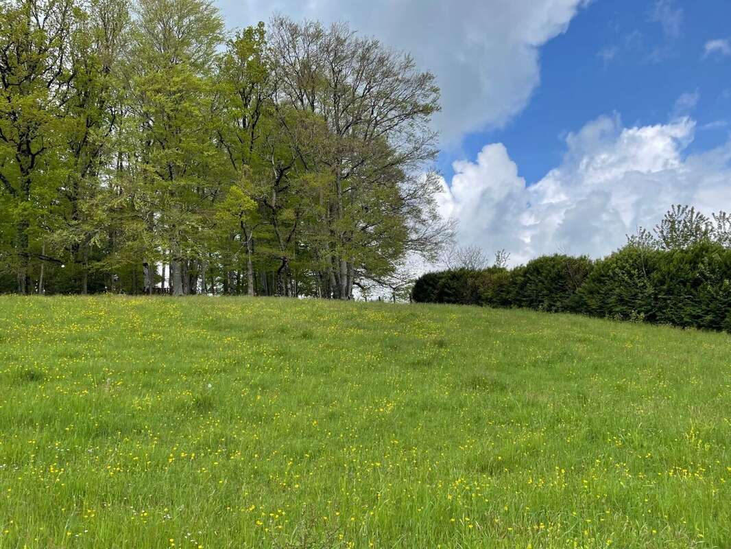 Terrain à LAFEUILLADE-EN-VEZIE