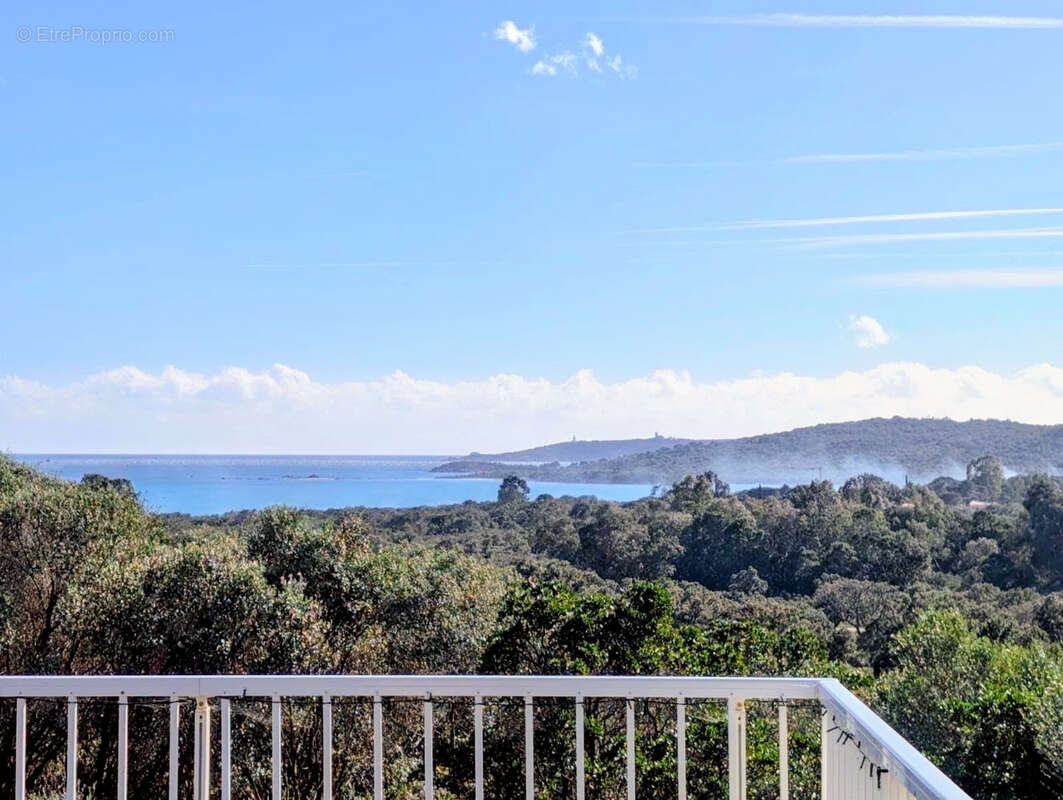 Maison à PORTO-VECCHIO