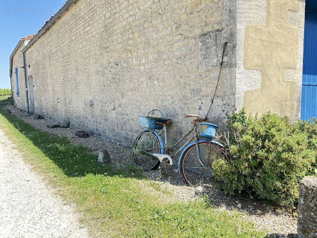 Charme, Caractère et Vues sur les Vignobles – Un Véritable Havre de Paix à la Campagne Française - photo 20