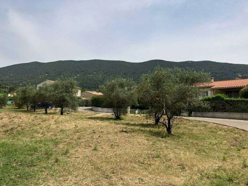 Terrain 407 m² à Nyons  - photo 2