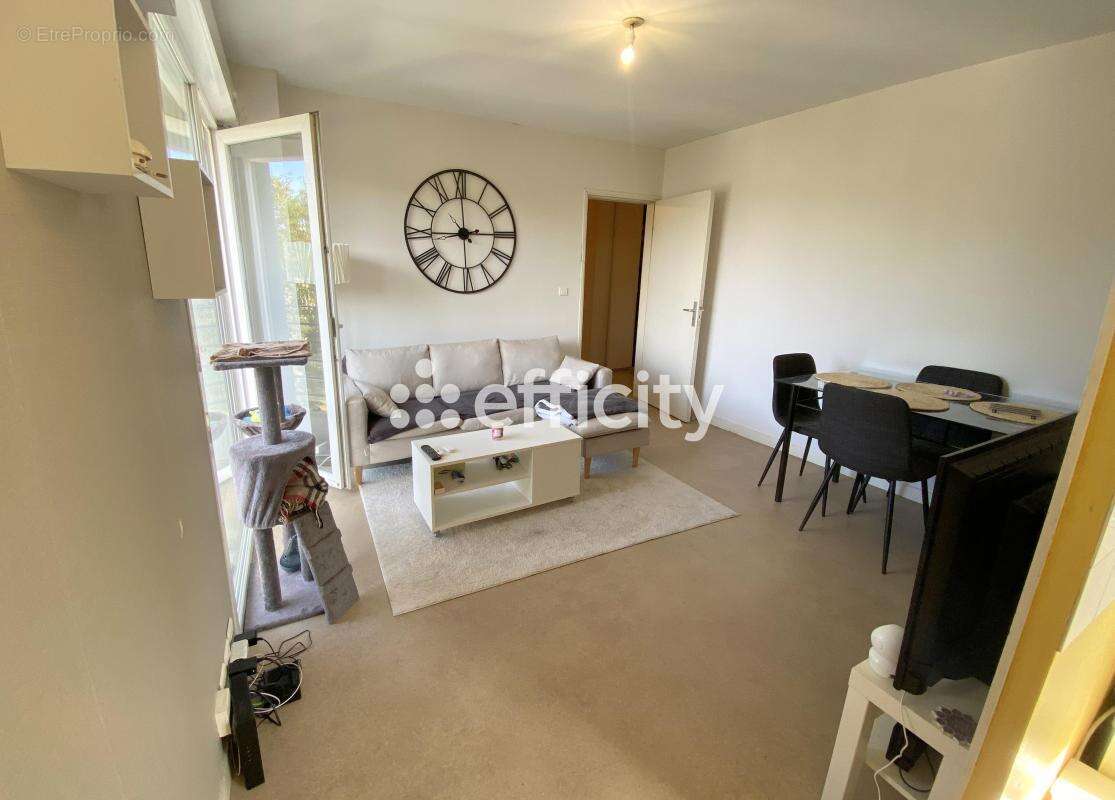 Appartement - photo 2