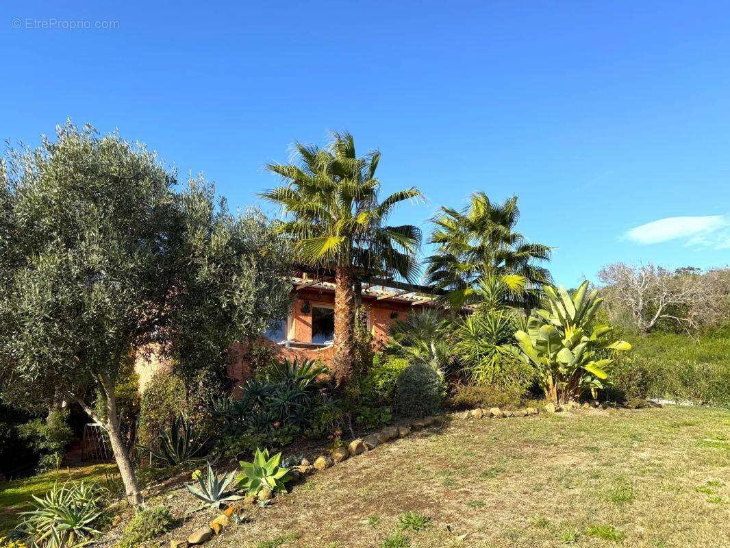 Maison à SARI-SOLENZARA