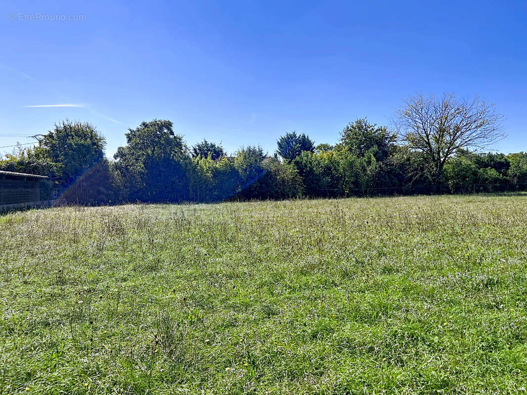 Terrain à CHATEAUNEUF-DE-GADAGNE