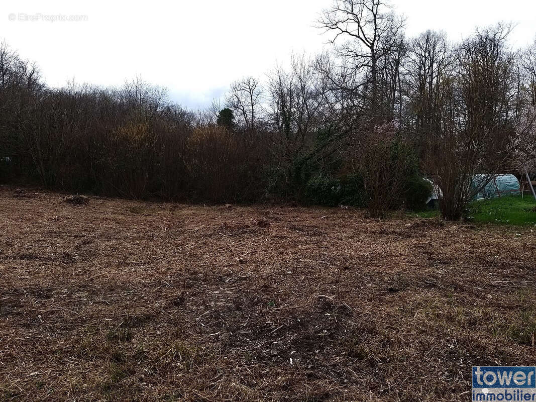 Terrain à SERS