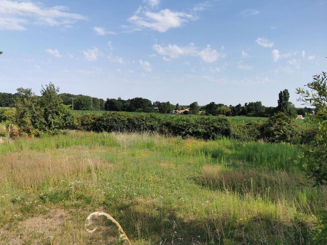 Terrain à AIGREFEUILLE-D'AUNIS