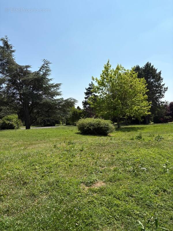 Terrain à MONTLIGNON