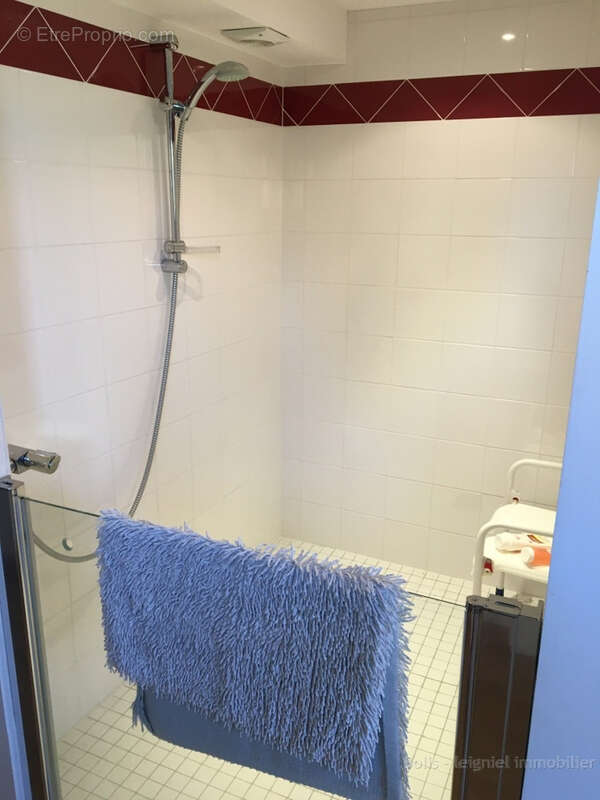 Grande maison entourée de son jardin de 5200m2 - photo 11
