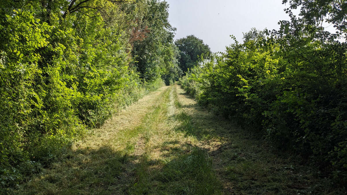 Terrain à USSON-DU-POITOU