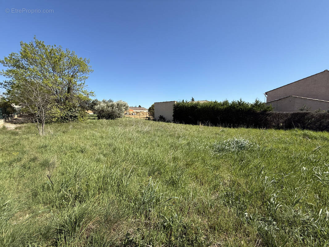 Terrain à MONTPEYROUX