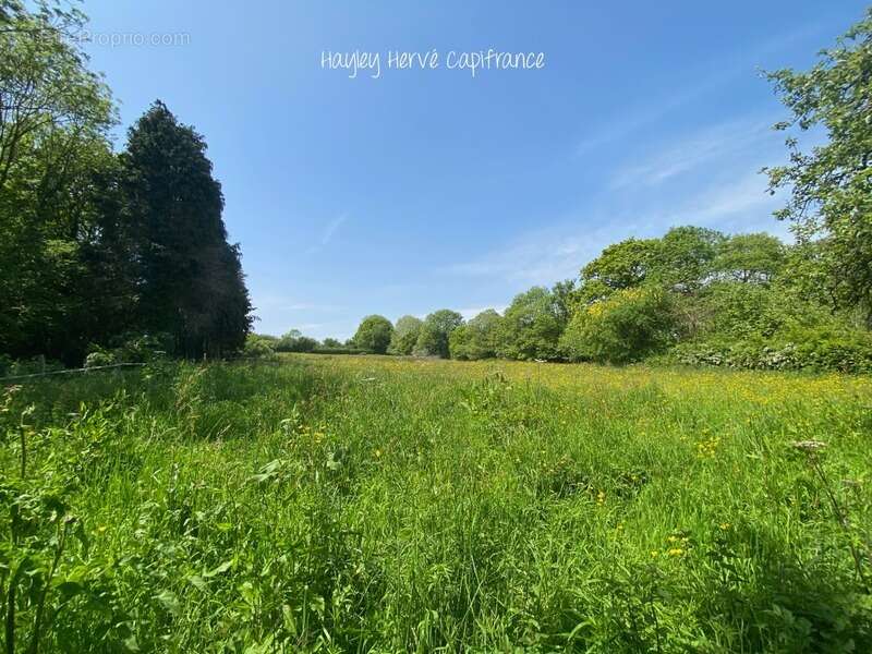 Dpt Calvados (14), à vendre proche de FEUGUEROLLES SUR SEULLES propriete P10 - photo 44