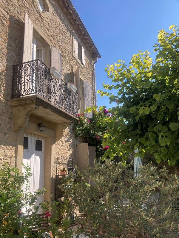 Minervois, 20mn Carcassonne Est, maison de maitre 8 chambres avec jardin et terrasse. - photo 20
