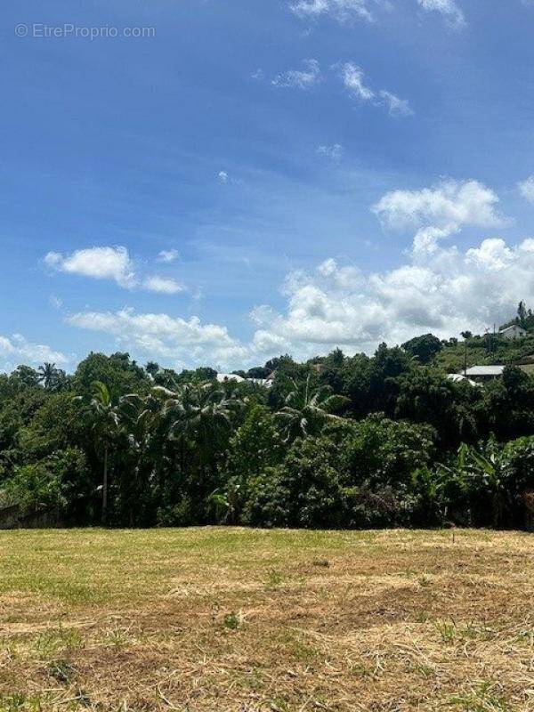 Terrain à SAINT-DENIS