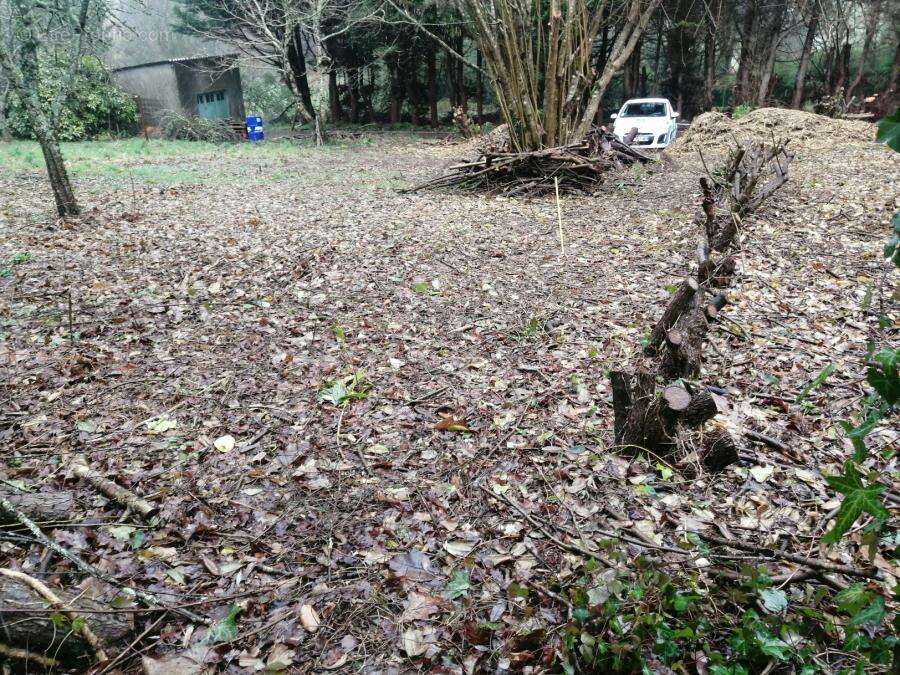 Terrain 501 m² à Larre  - photo 232