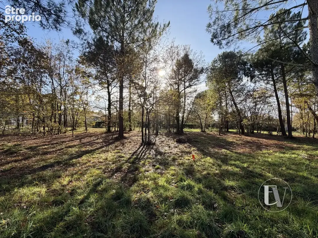 Photo Terrain à Gujan-Mestras au prix de 640 000€
