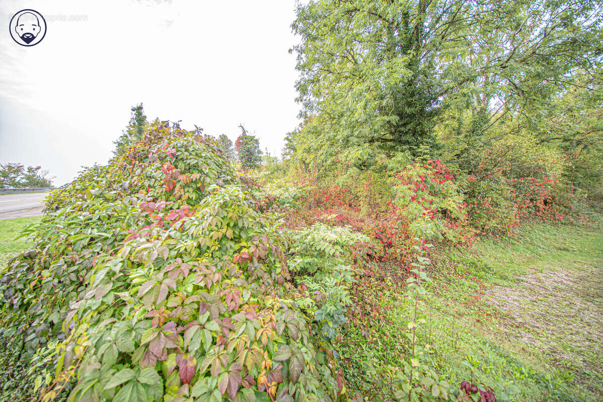 Terrain à VAUCOULEURS
