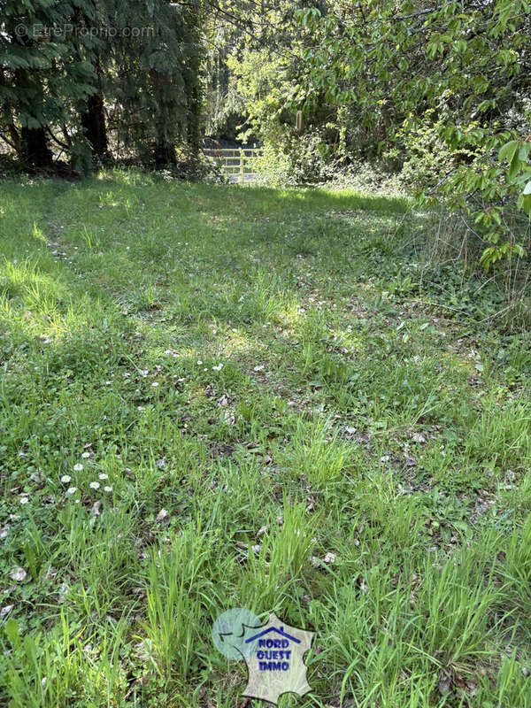 Terrain à CEAUCE