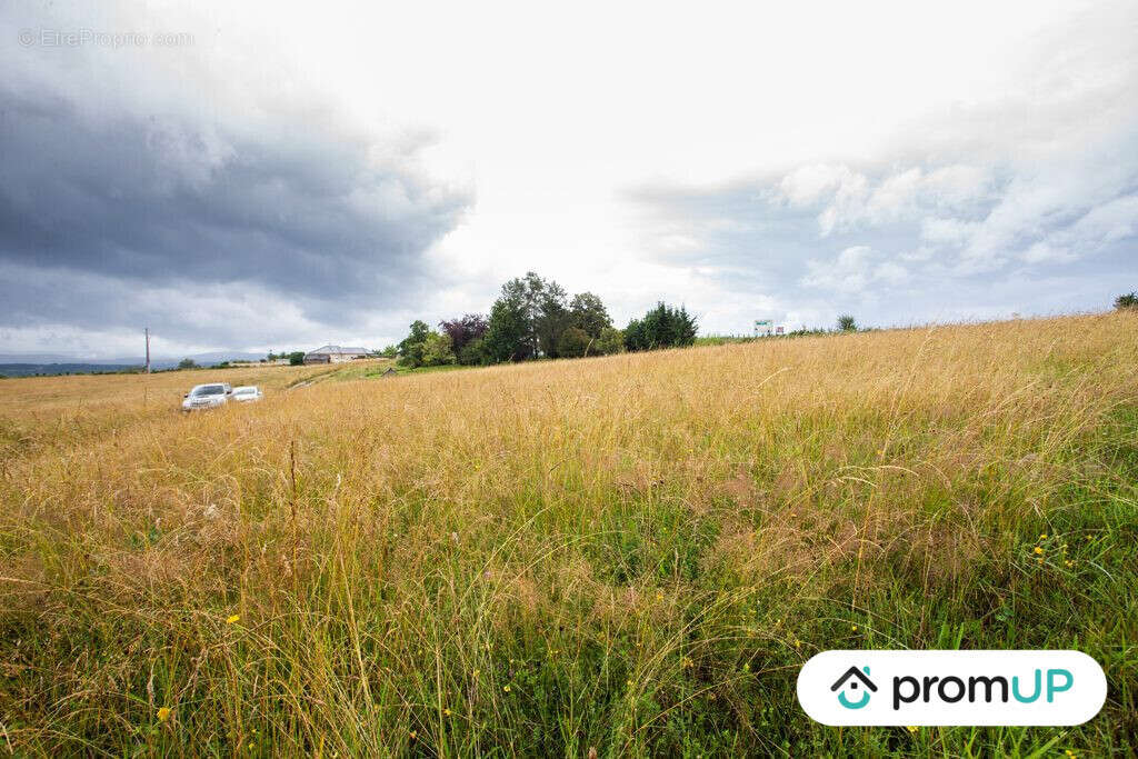 Terrain à BRIVE-LA-GAILLARDE