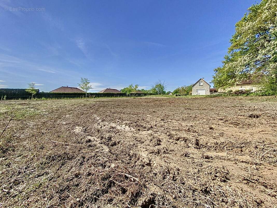 56317589e.jpg - Terrain à LAGOR