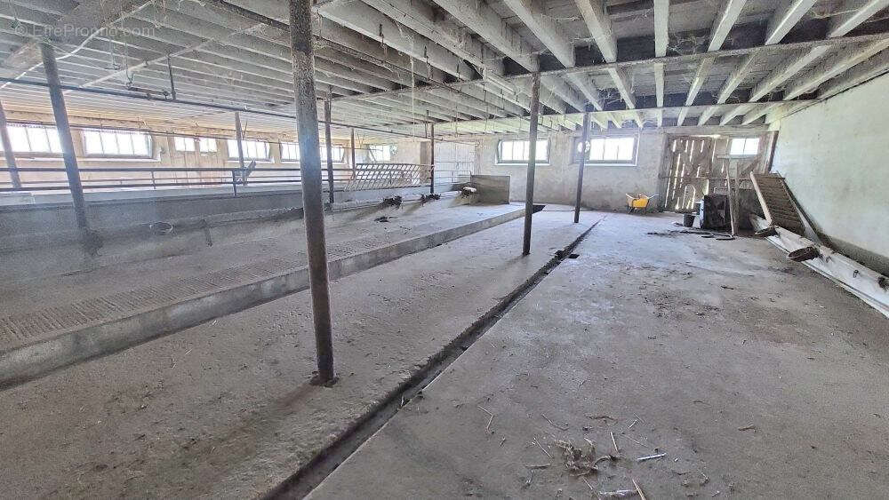 Maison à ORGEANS-BLANCHEFONTAINE