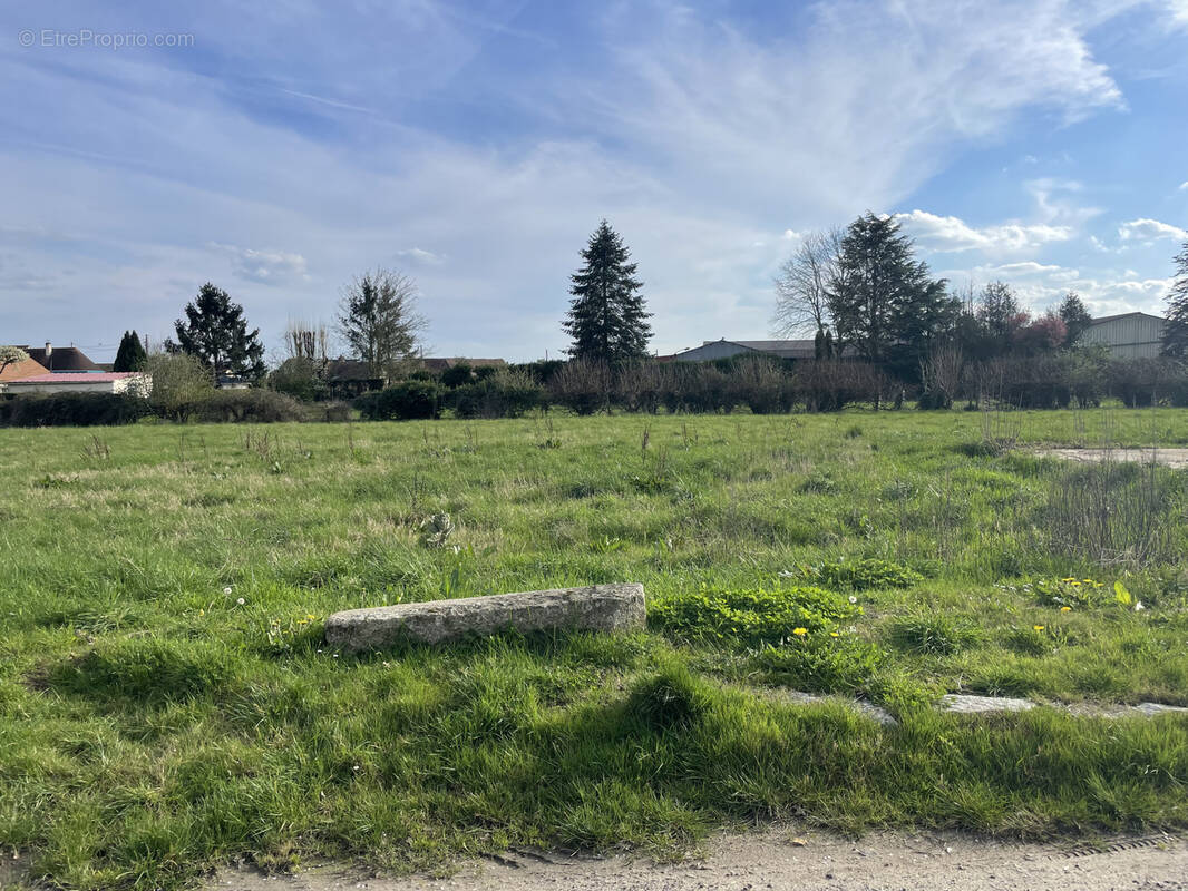 Terrain à PORCHEUX