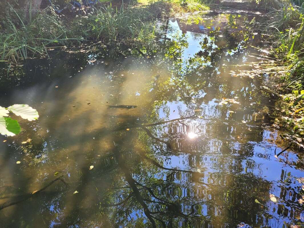 Maison à LONGNY-AU-PERCHE