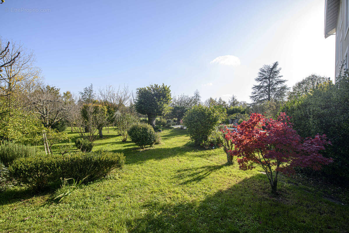 Maison à MONTMOREAU-SAINT-CYBARD