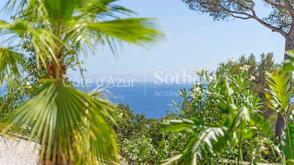 Maison à LES ISSAMBRES