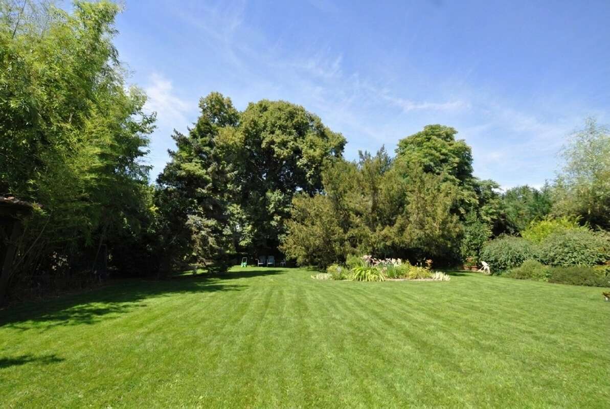 Maison de campagne dans parc arboré 3000 m². Moissieu sur Dolon 38270 - photo 7
