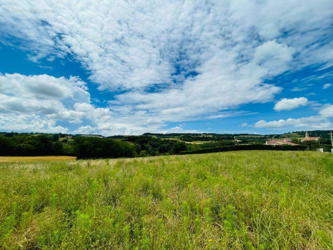Terrain à MONTCHENU