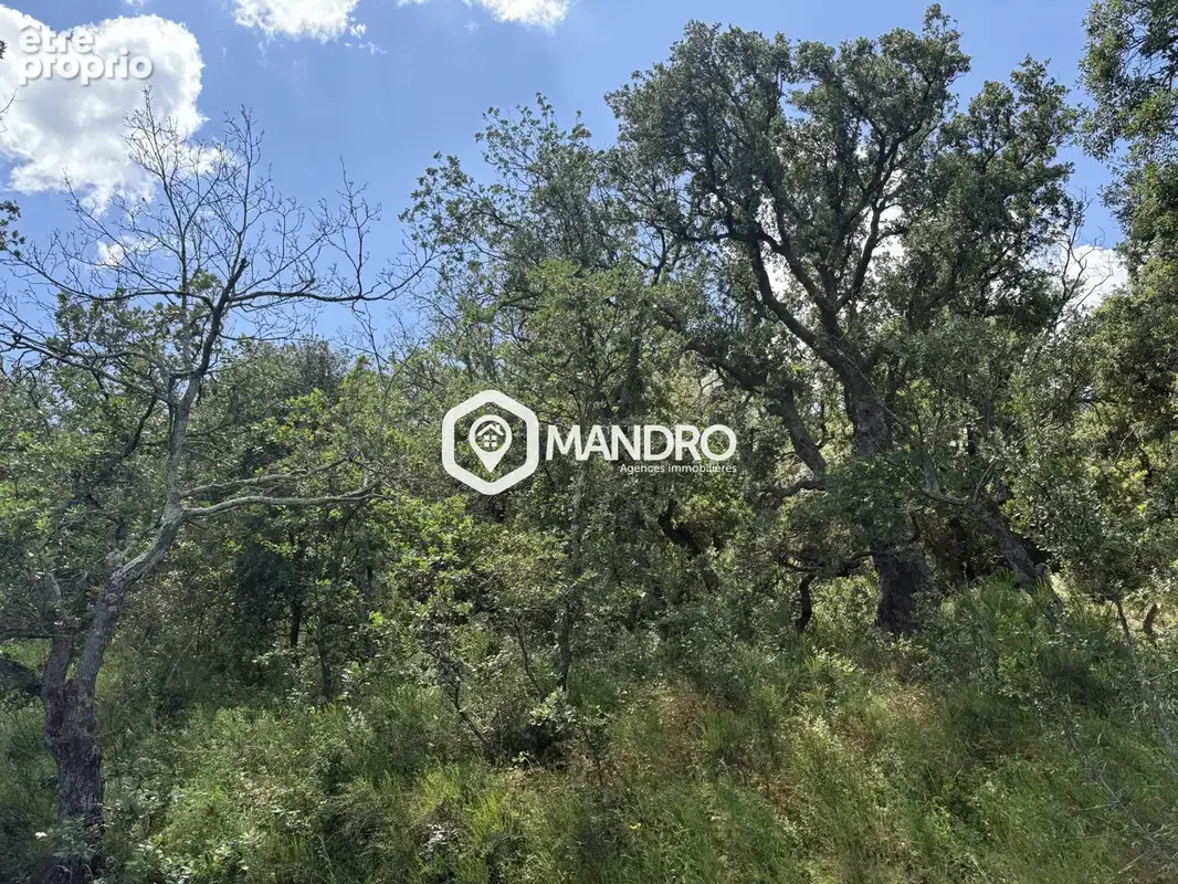 Terrain à CORBERE
