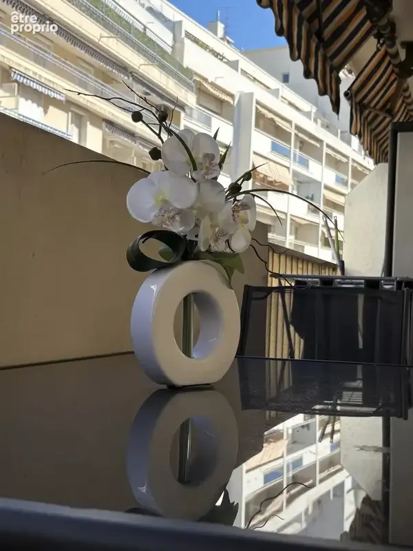 Cannes -banane-a quelques pas de la croisette - charmant 2p+terrasse - photo 5