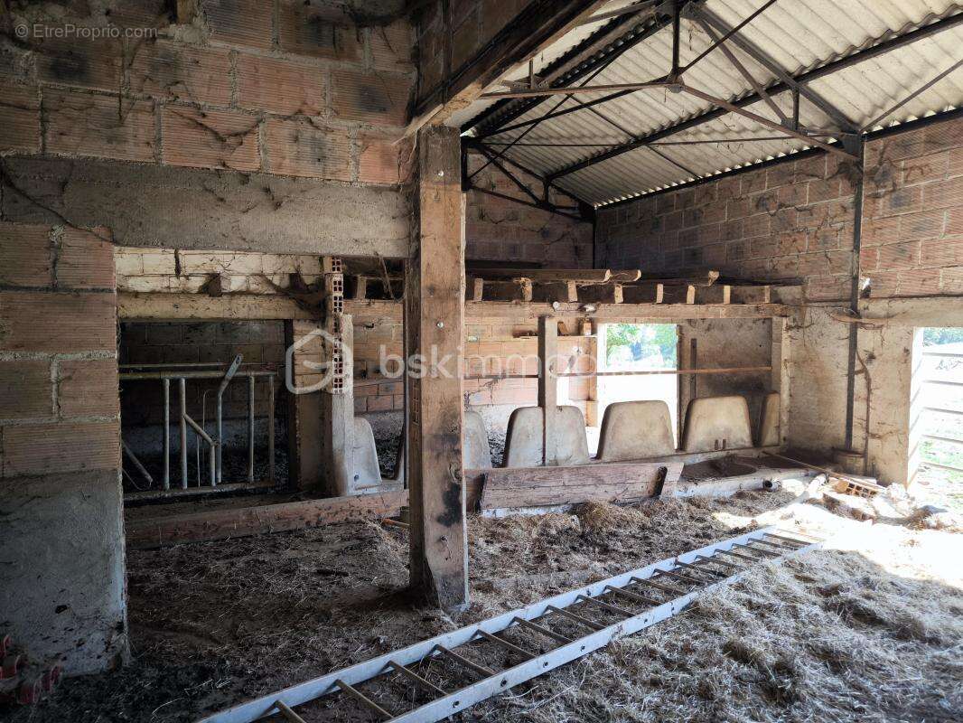 Ensemble foncier comprenant un terrain agricole avec bâtiment et étang sur la commune de La Porcherie - photo 4