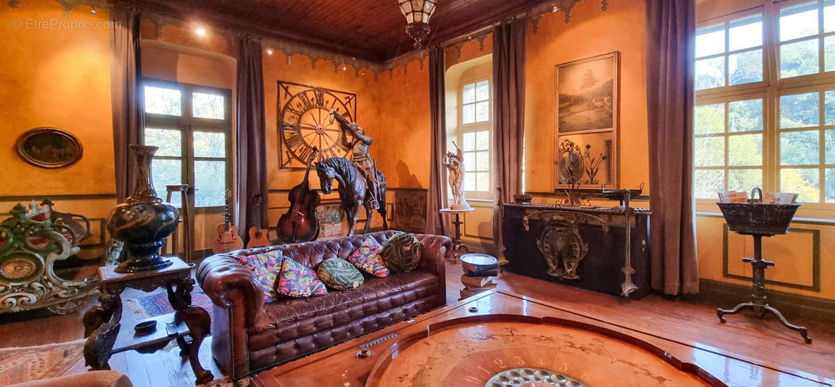 salon - Maison à BROUSSES-ET-VILLARET