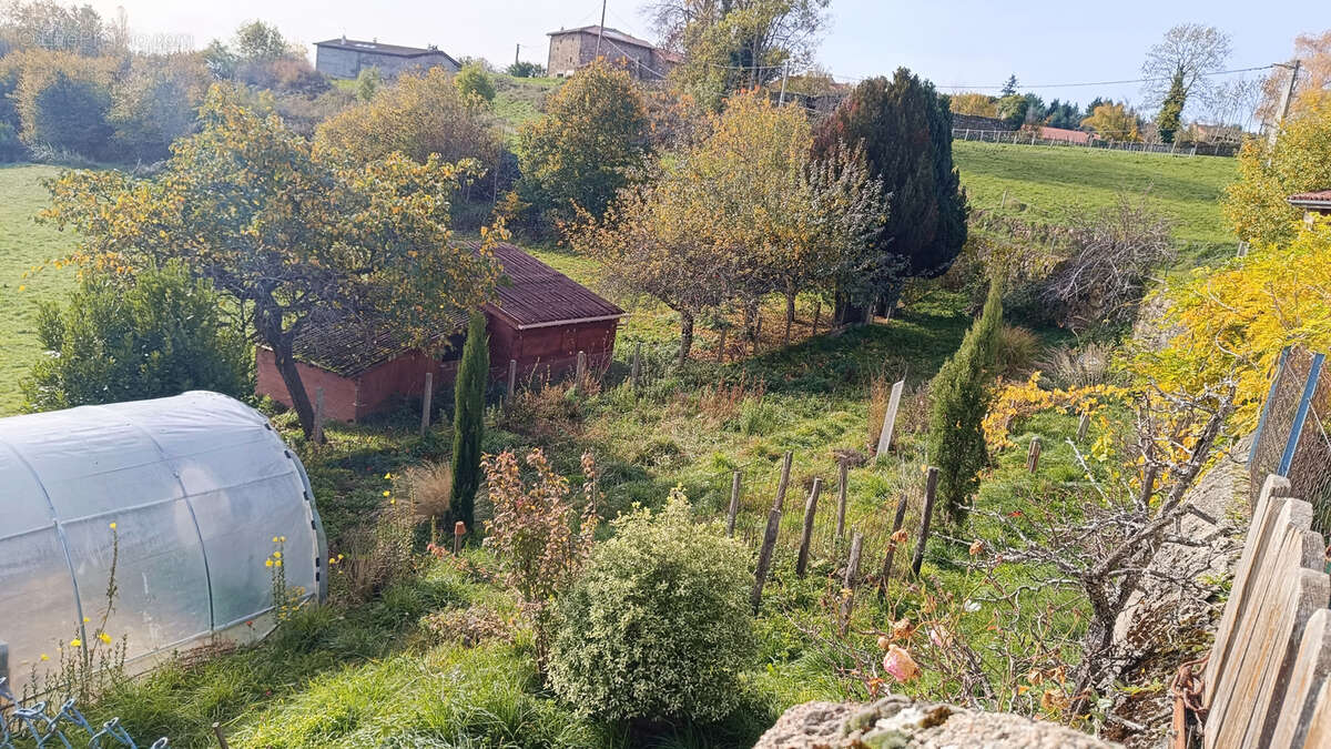 Maison à BAS-EN-BASSET