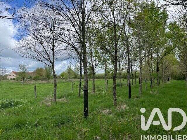 Maison 754 m² à Audes  - photo 9