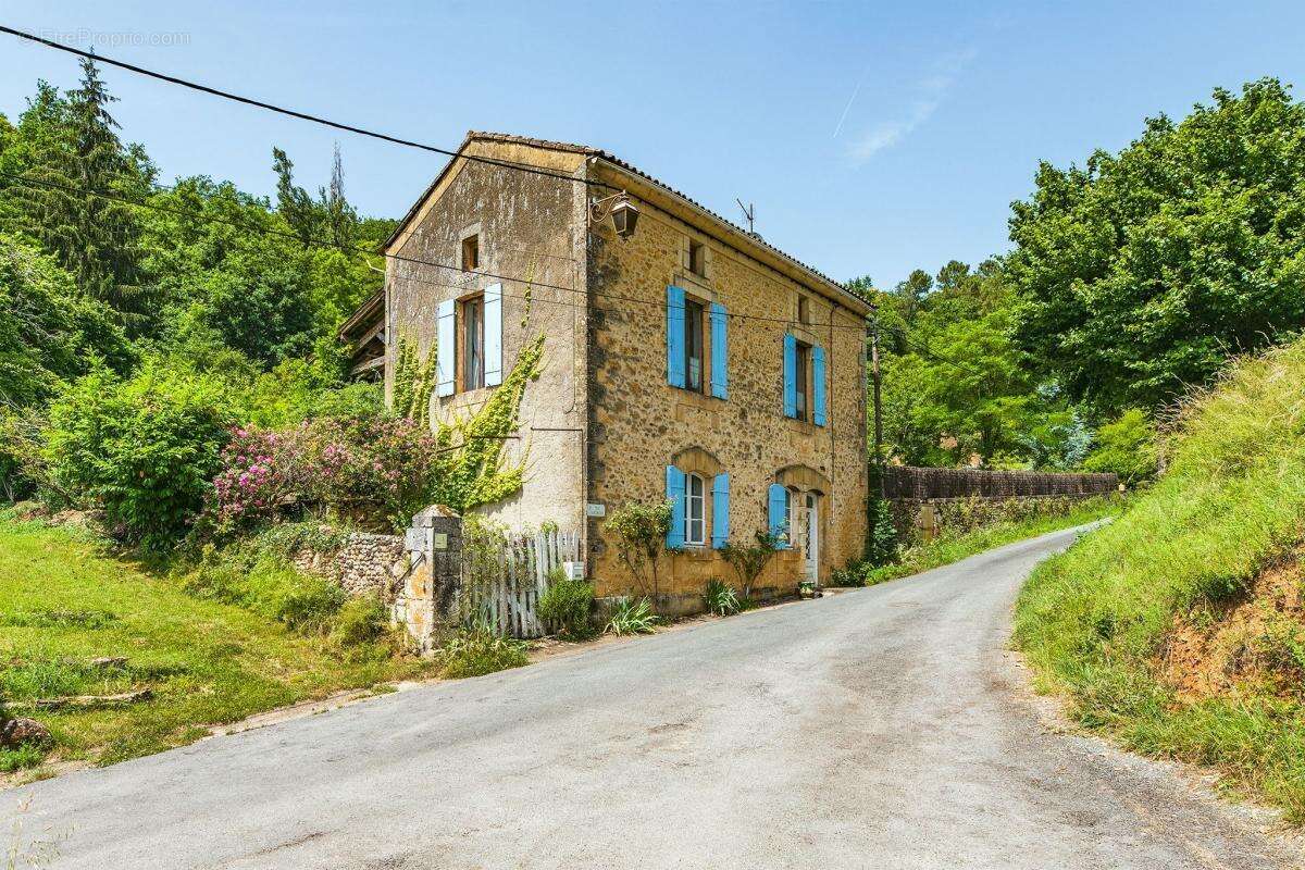 Maison à LE BUISSON-DE-CADOUIN
