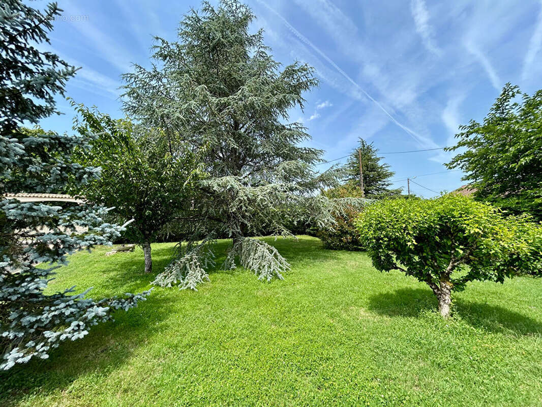 Maison à AZAY-LE-BRULE