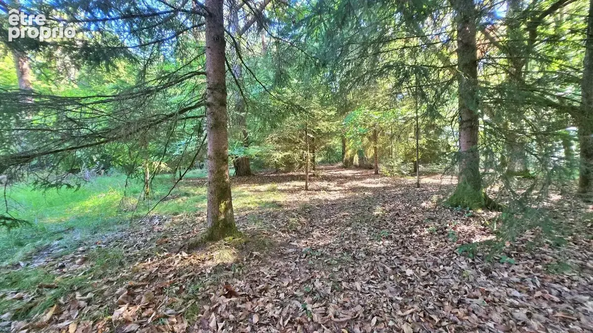 Terrain de loisir boisé 2.3Ha + Source - Proche Limoges - photo 5