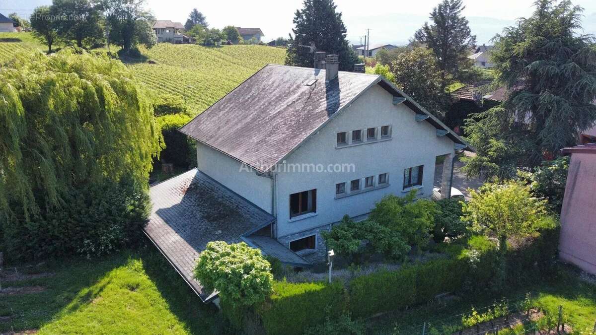 Maison à ARBIN