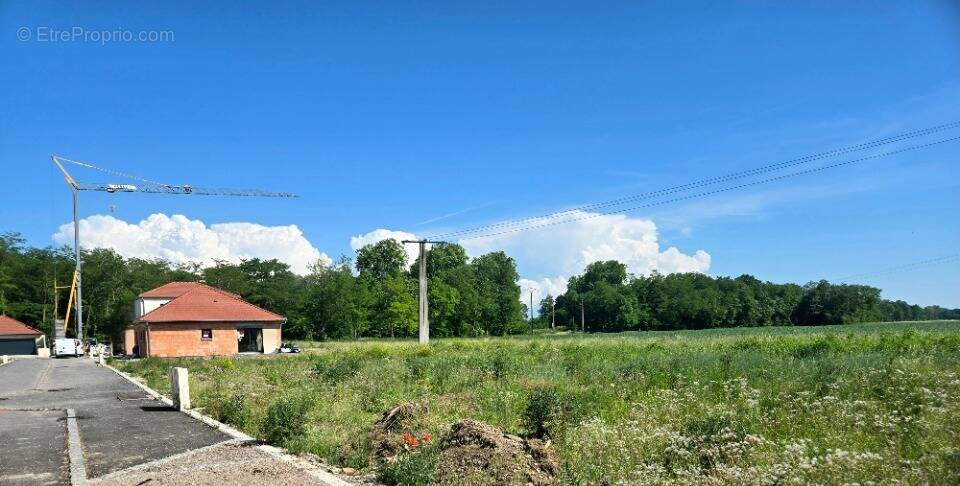 Terrain à MARCKOLSHEIM