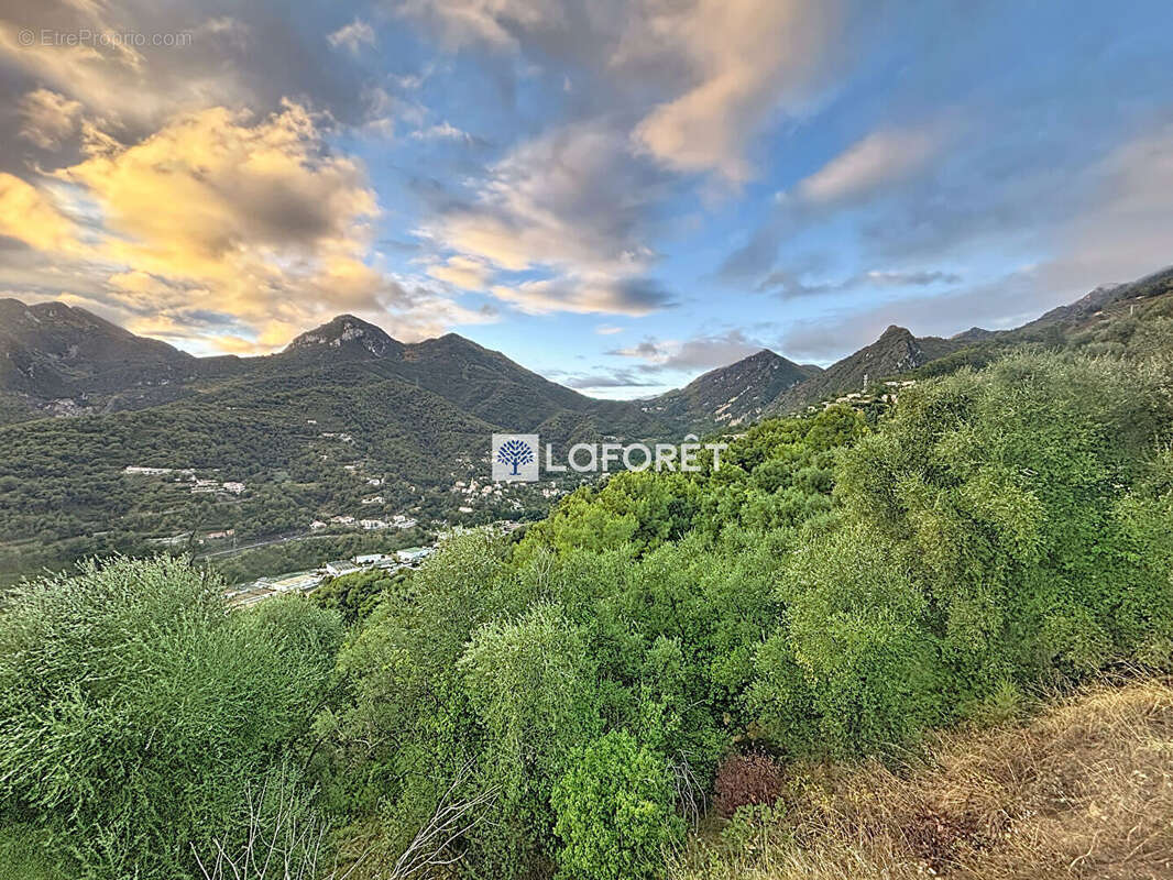 Terrain à CASTELLAR