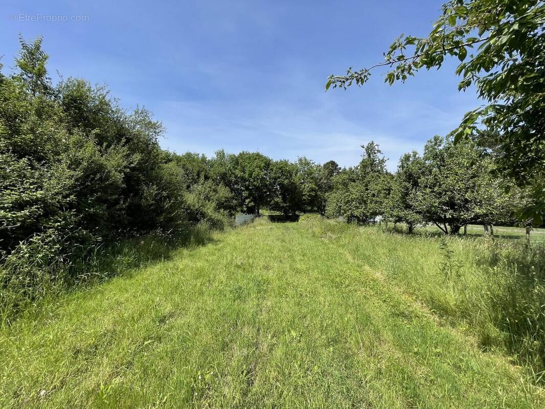 Terrain à SARZEAU
