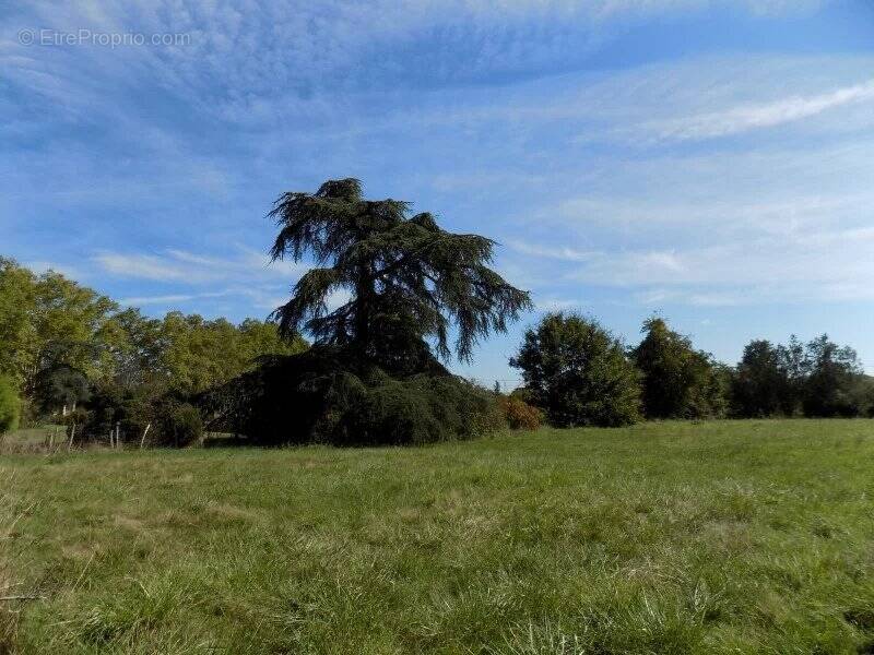 Terrain à L'ISLE-DE-NOE