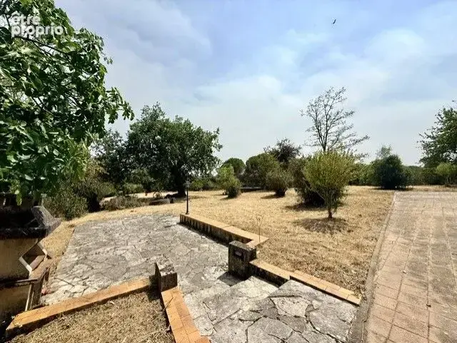 Maison 388 m² à Pavie  - photo 5
