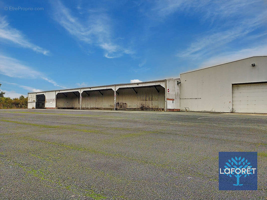 Commerce à LA ROCHE-SUR-YON