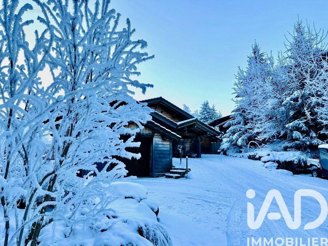 Photo 1 - Maison à ARACHES-LA-FRASSE