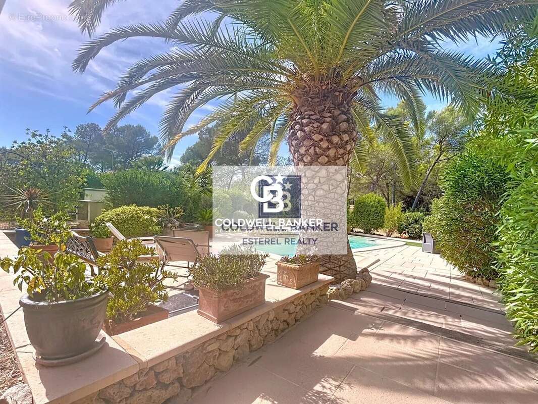 Maison à ROQUEBRUNE-SUR-ARGENS